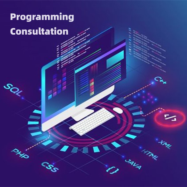Programming Consultation